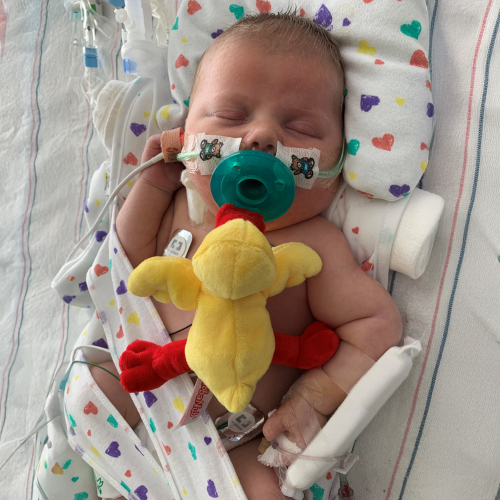 Baby Pierce sleeps peacefully with a stuffed duck toy.