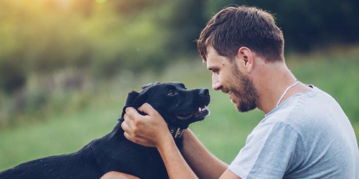 male petting dog's head outside